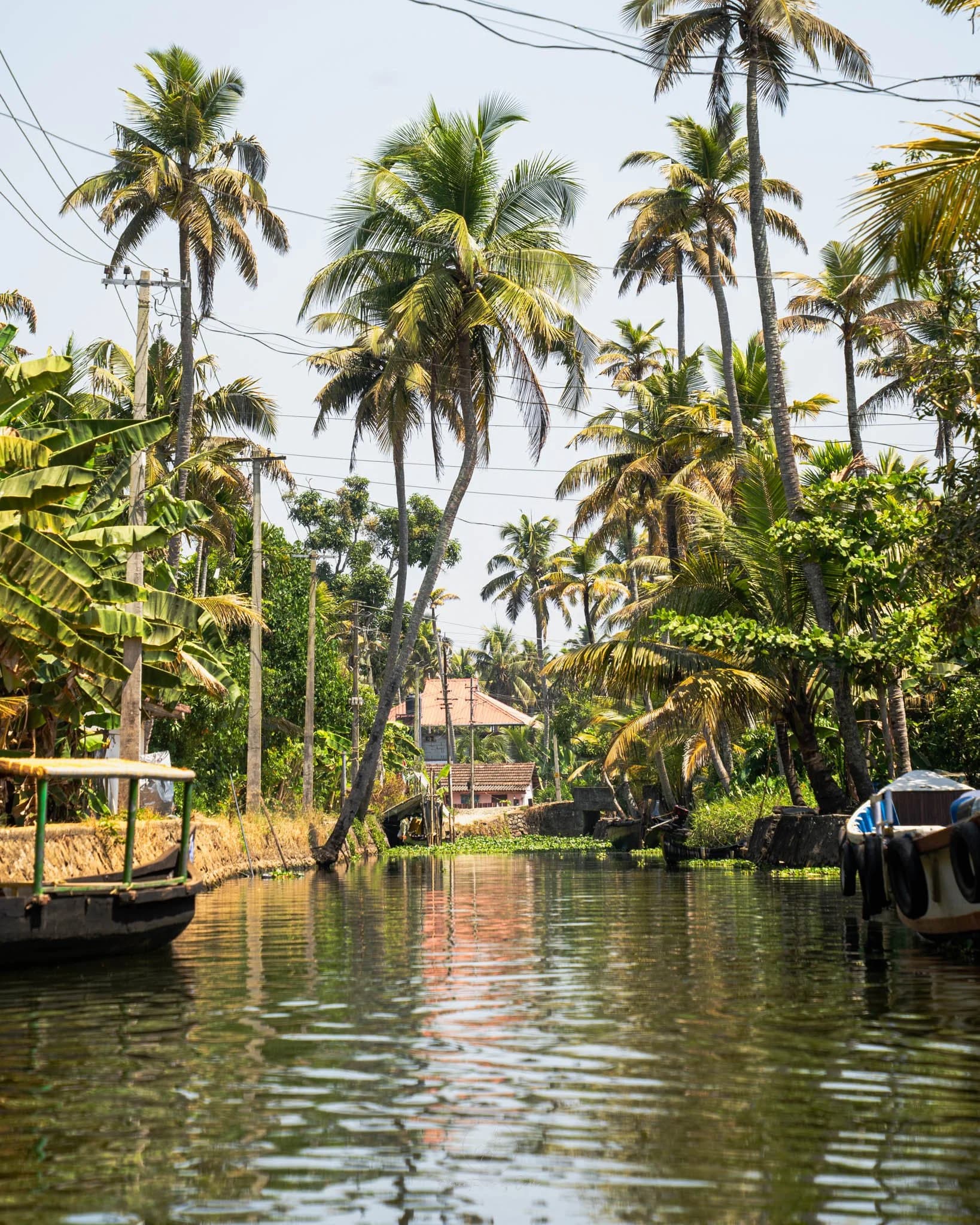 Alleppey
